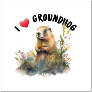 I love groundhog Posters and Art